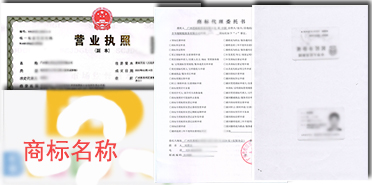 九龙城商标注册商标注册详细资料图
